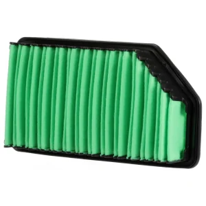 MicroGard Select Irregular Panel Air Filter – MSA21044