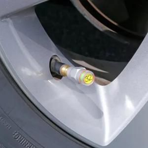 Slime Tire Pressure Measuring Valve Caps 32 PSI (S20221) - view 3