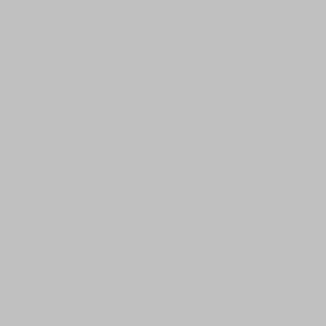 Dupli-Color 8oz Subaru Quick Silver Automotive Spray Paint (BSU1345) - view 2
