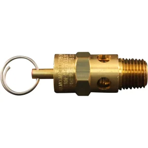 Milton 1090-200 1/4″ MNPT ASME Safety Valve – 200 PSI Pop off Pressure
