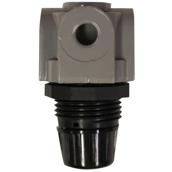 1/4″ NPT Mini Heavy Duty Regulator