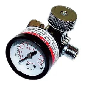 AES INDUSTRIES AES882 Air Regulator w/ Gauge