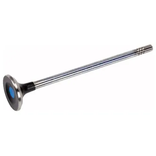 ACDelco Exhaust Valve – 55488988