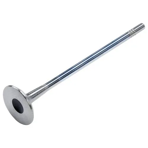 ACDelco Exhaust Valve – 55558728