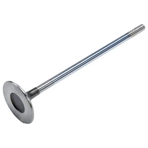 ACDelco Intake Valve – 55557862