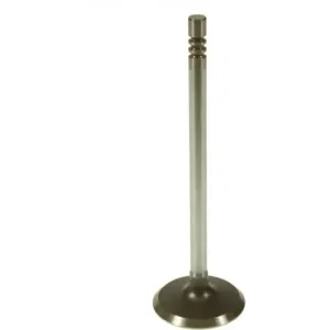 Melling Intake Valve – V1920