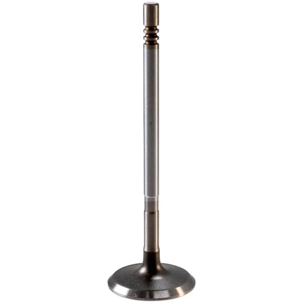 Melling Intake Valve – V2008