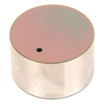 ACDelco Engine Valve Lifter – 19317185
