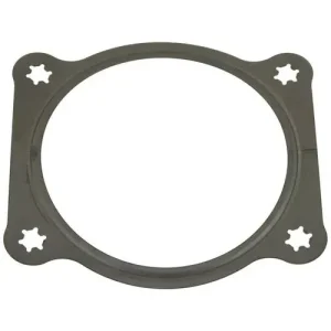 Standard Ignition Rubber Throttle Body Mounting Gasket – FJG141