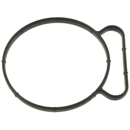 Standard Ignition Rubber Throttle Body Mounting Gasket – FJG142
