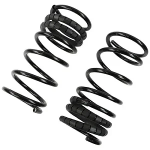 Precision Coil Spring Set – SP08169