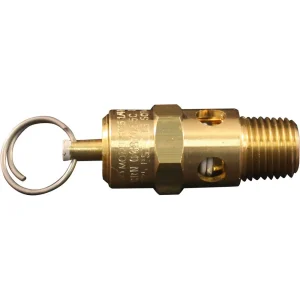 Milton S1090-125 1/4″ MNPT ASME Safety Valve – 125 PSI Pop off Pressure