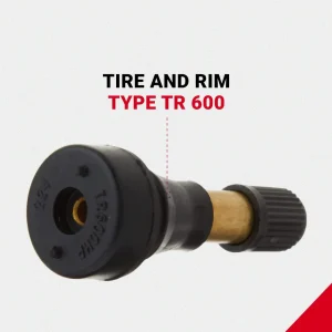 Milton 493-50 TT valve High Press #600 - view 4