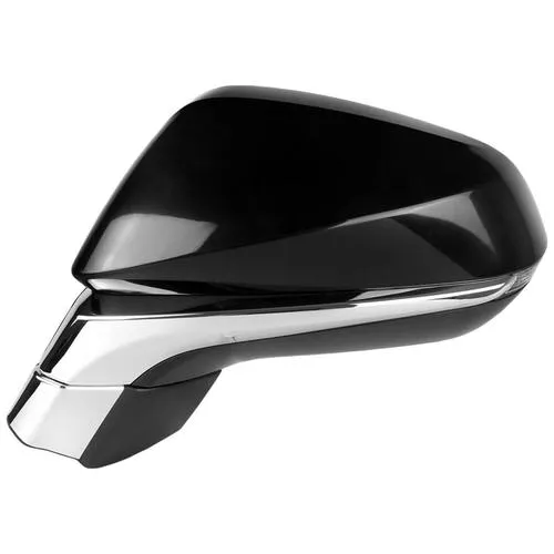 TYC Door Mirror – LX1320155