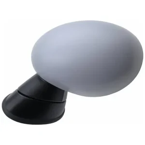 TYC Door Mirror – MC1320106