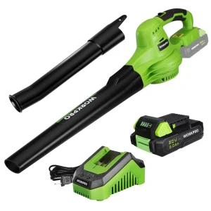 WORKPRO 20V Lightweight Mini Cordless Leaf Blower wih Battery and Charger, 2-Speed Control