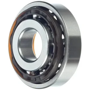 Schaeffler Wheel Bearing – 102690
